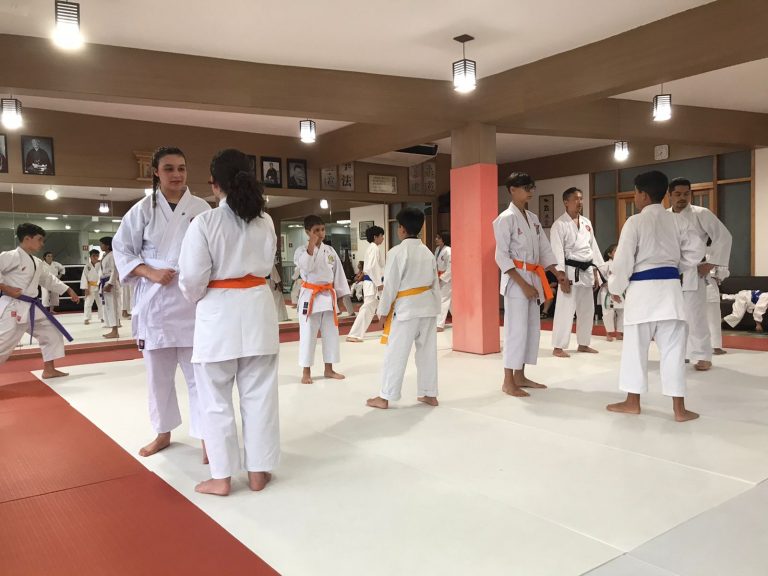 Aulas de Karate Shotokan - Sensei Francisco Santiago - Renbukan Brasil - Escola de artes Marciais Japonesas - Cotia - São Paulo - Defesa Pessoal - (49)