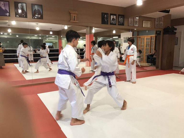 Aulas de Karate Shotokan - Sensei Francisco Santiago - Renbukan Brasil - Escola de artes Marciais Japonesas - Cotia - São Paulo - Defesa Pessoal - (50)