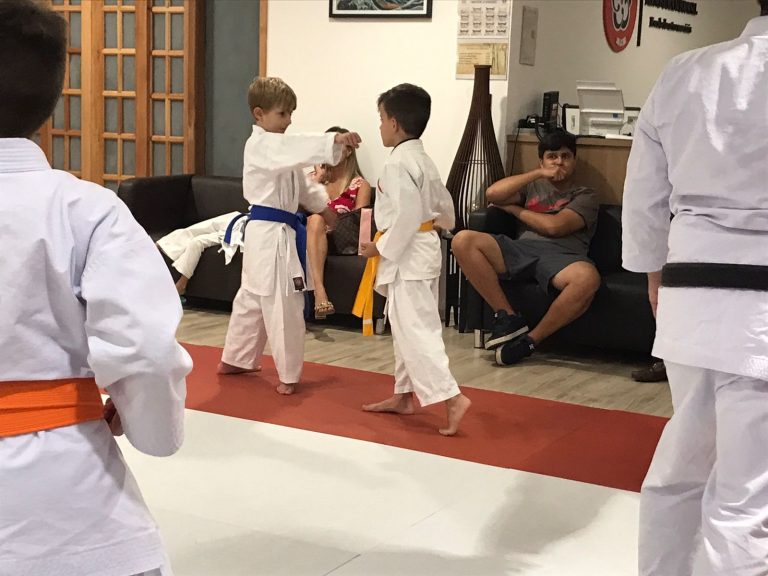 Aulas de Karate Shotokan - Sensei Francisco Santiago - Renbukan Brasil - Escola de artes Marciais Japonesas - Cotia - São Paulo - Defesa Pessoal - (55)