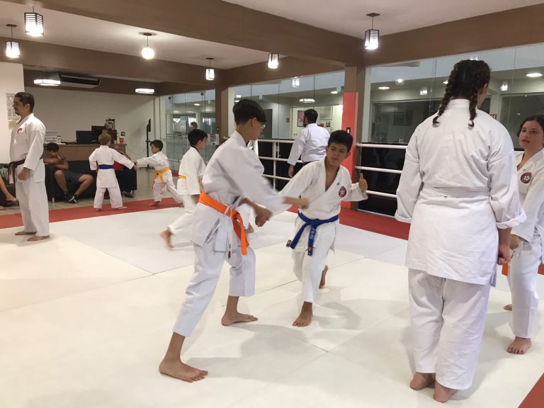 Aulas de Karate Shotokan - Sensei Francisco Santiago - Renbukan Brasil - Escola de artes Marciais Japonesas - Cotia - São Paulo - Defesa Pessoal - (57)