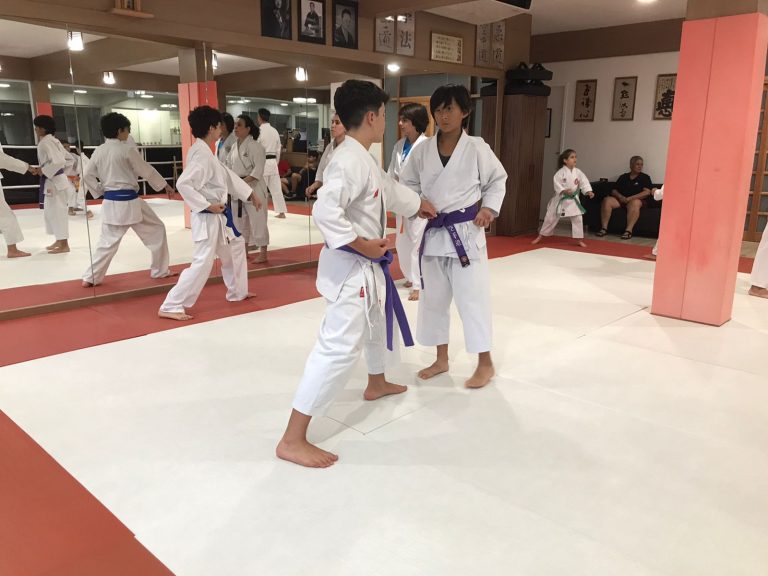 Aulas de Karate Shotokan - Sensei Francisco Santiago - Renbukan Brasil - Escola de artes Marciais Japonesas - Cotia - São Paulo - Defesa Pessoal - (58)