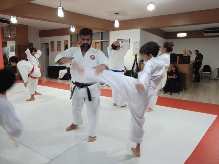 Aulas de Karate Shotokan - Sensei Francisco Santiago - Renbukan Brasil - Escola de artes Marciais Japonesas - Cotia - São Paulo - Defesa Pessoal - (6)