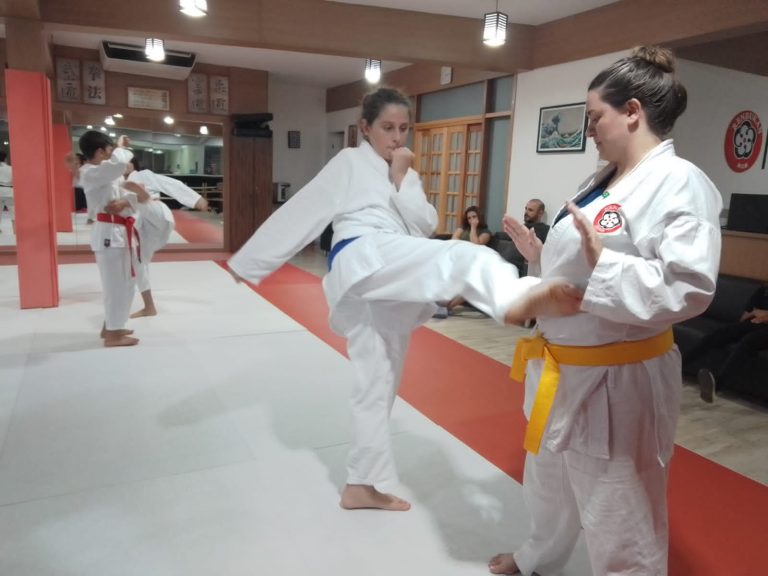 Aulas de Karate Shotokan - Sensei Francisco Santiago - Renbukan Brasil - Escola de artes Marciais Japonesas - Cotia - São Paulo - Defesa Pessoal - (8)