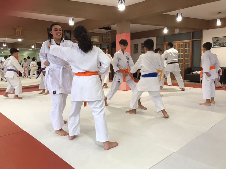 Aulas de Karate Shotokan - Sensei Francisco Santiago - Renbukan Brasil - Escola de artes Marciais Japonesas - Cotia - São Paulo - Defesa Pessoal - Arthur Duarte - (2)