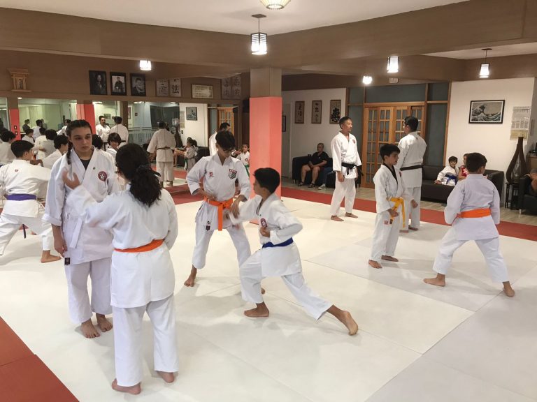 Aulas de Karate Shotokan - Sensei Francisco Santiago - Renbukan Brasil - Escola de artes Marciais Japonesas - Cotia - São Paulo - Defesa Pessoal - Arthur Duarte (3)