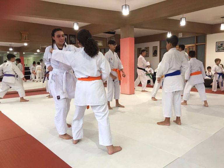 Aulas de Karate Shotokan - Sensei Francisco Santiago - Renbukan Brasil - Escola de artes Marciais Japonesas - Cotia - São Paulo - Defesa Pessoal - Arthur Duarte - (3)