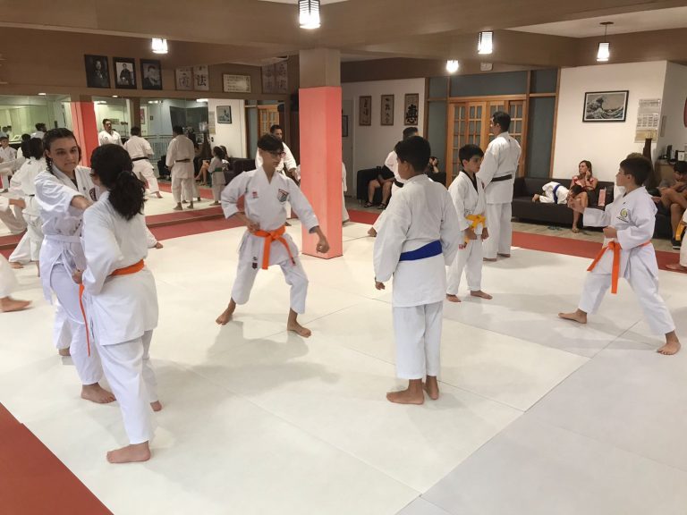 Aulas de Karate Shotokan - Sensei Francisco Santiago - Renbukan Brasil - Escola de artes Marciais Japonesas - Cotia - São Paulo - Defesa Pessoal - Arthur Duarte (4)