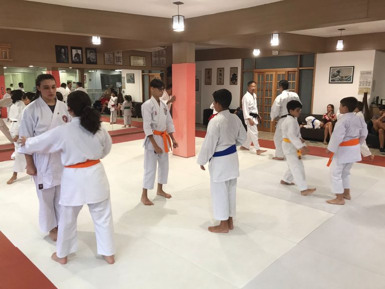 Aulas de Karate Shotokan - Sensei Francisco Santiago - Renbukan Brasil - Escola de artes Marciais Japonesas - Cotia - São Paulo - Defesa Pessoal - Arthur Duarte (6)