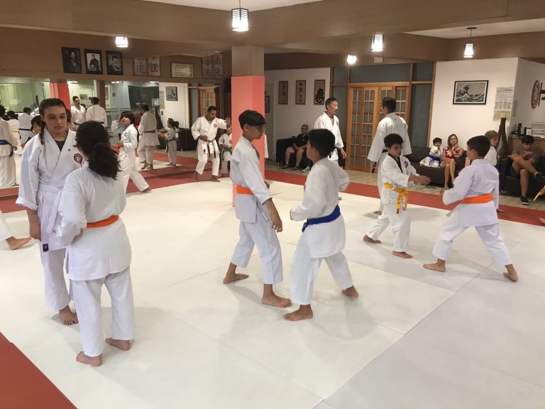 Aulas de Karate Shotokan - Sensei Francisco Santiago - Renbukan Brasil - Escola de artes Marciais Japonesas - Cotia - São Paulo - Defesa Pessoal - Arthur Duarte (7)