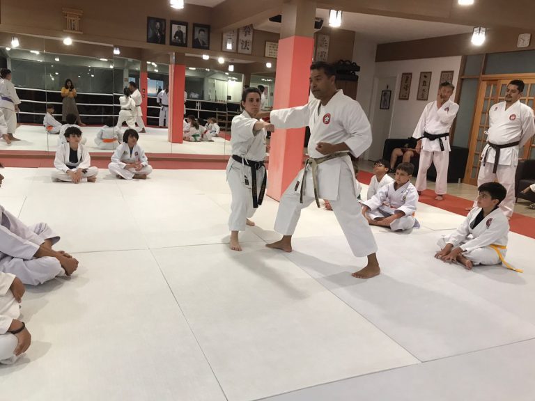 Aulas de Karate Shotokan - Sensei Francisco Santiago - Renbukan Brasil - Escola de artes Marciais Japonesas - Cotia - São Paulo - Defesa Pessoal - Barbara Belafronte - Arthur duarte