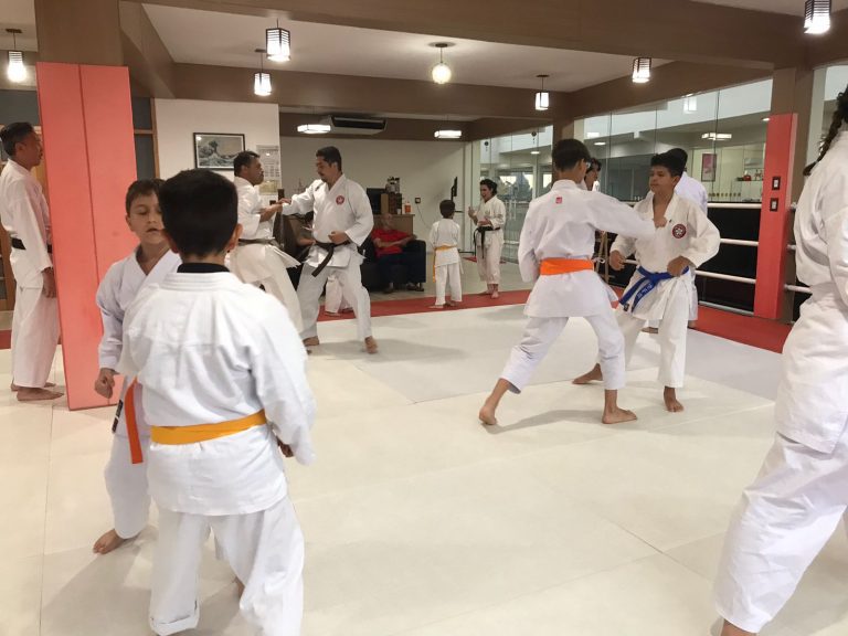 Aulas de Karate Shotokan - Sensei Francisco Santiago - Renbukan Brasil - Escola de artes Marciais Japonesas - Cotia - São Paulo - Defesa Pessoal - Francisco Santiago - Arthur Duarte