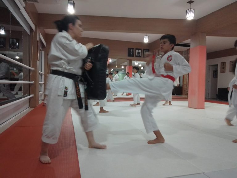 Aulas de Karate Shotokan - Sensei Francisco Santiago - Renbukan Brasil - Escola de artes Marciais Japonesas - Cotia - São Paulo - Defesa Pessoal - Sensei Barbara Belafronte (1)
