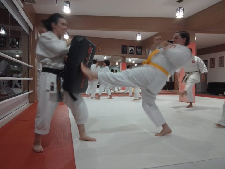 Aulas de Karate Shotokan - Sensei Francisco Santiago - Renbukan Brasil - Escola de artes Marciais Japonesas - Cotia - São Paulo - Defesa Pessoal - Sensei Barbara Belafronte (3)