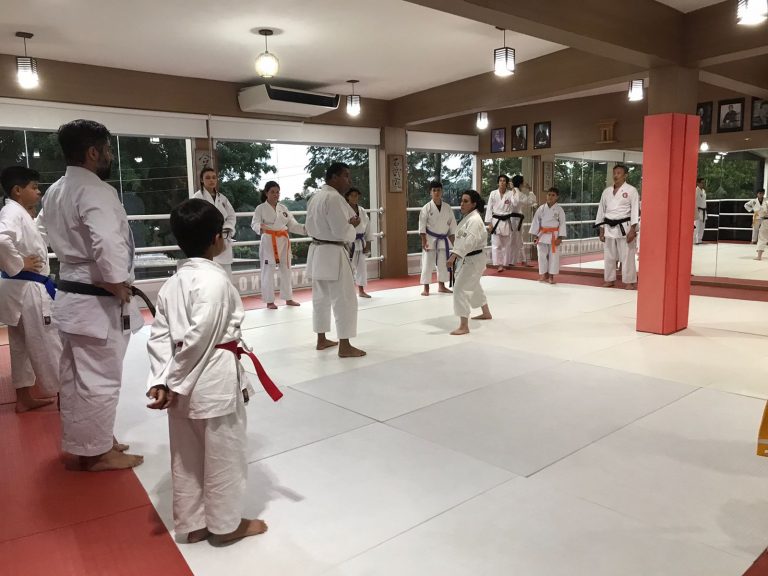Aulas de Karate Shotokan - Sensei Francisco Santiago - Renbukan Brasil - Escola de artes Marciais Japonesas - Cotia - São Paulo - Sensei Francisco Santiago - Sensei Barbara Belafronte (2)