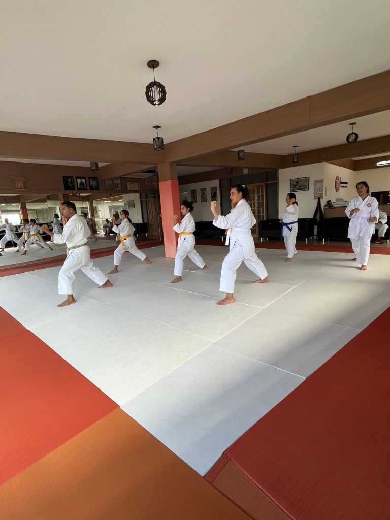 Aula de Karate Feminino - Sensei Francisco Santiago - Escola Renbukan Brasil - Jardim Ana Estela , Carapicuiba , São Paulo