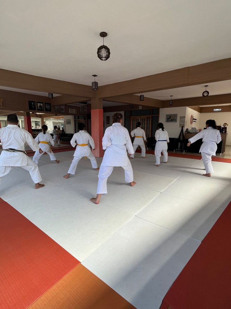Aula de Karate Feminino - Sensei Francisco Santiago - Escola Renbukan Brasil - Jardim Colonial , Carapicuiba , São Paulo