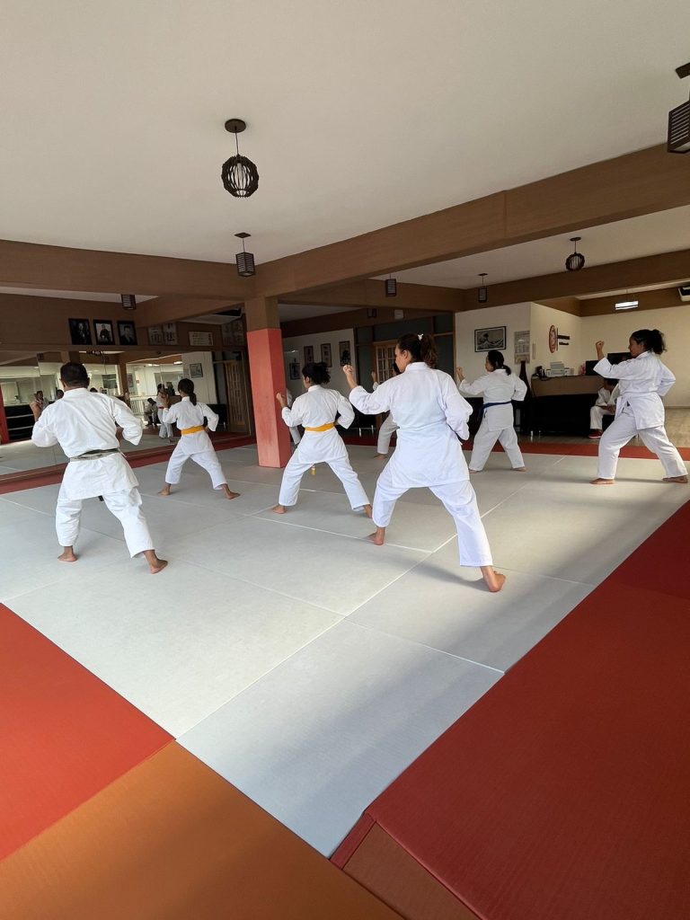 Aula de Karate Feminino - Sensei Francisco Santiago - Escola Renbukan Brasil - Jardim Das Palmeiras , Carapicuiba , São Paulo