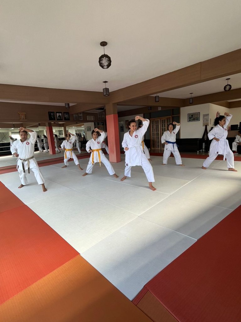 Aula de Karate Feminino - Sensei Francisco Santiago - Escola Renbukan Brasil - Jardim Edi, Carapicuiba , São Paulo