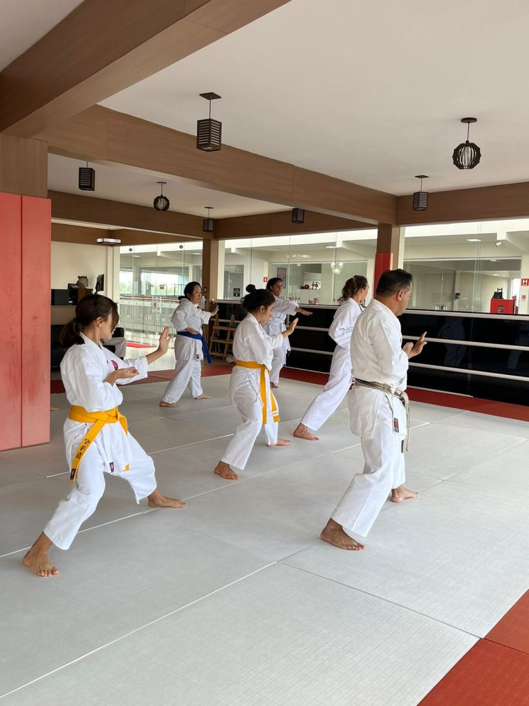 Aula de Karate Feminino - Sensei Francisco Santiago - Escola Renbukan Brasil - Jardim Helena, Carapicuiba , São Paulo