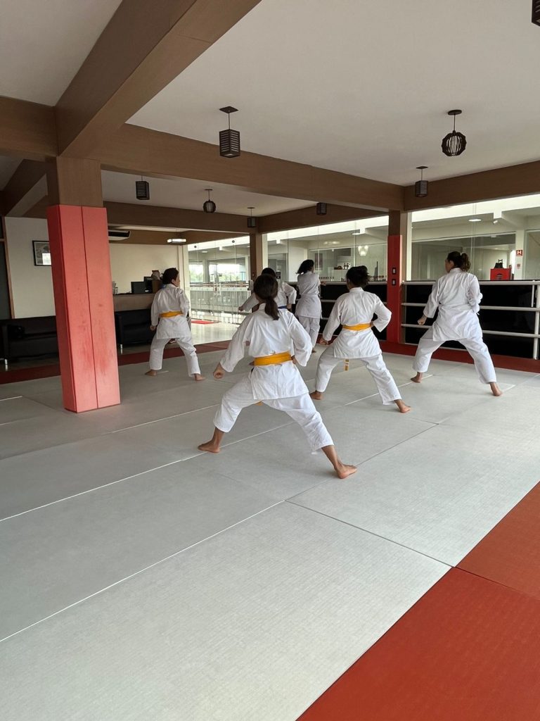 Aula de Karate Feminino - Sensei Francisco Santiago - Escola Renbukan Brasil - Jardim Novo Horizonte, Carapicuiba , São Paulo