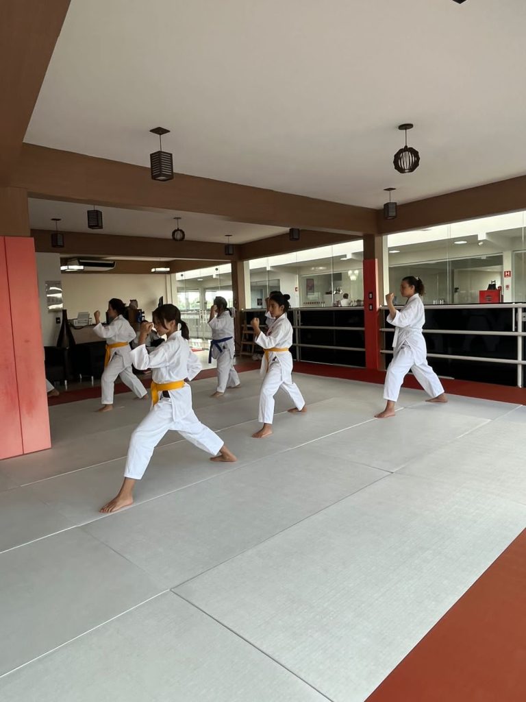Aula de Karate Feminino - Sensei Francisco Santiago - Escola Renbukan Brasil - , Jardim Planalto , Carapicuiba , São Paulo