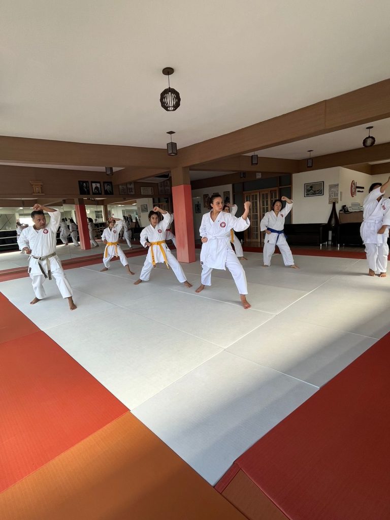 Aula de Karate Feminino - Sensei Francisco Santiago - Escola Renbukan Brasil - Jardim Tonato, Carapicuiba , São Paulo