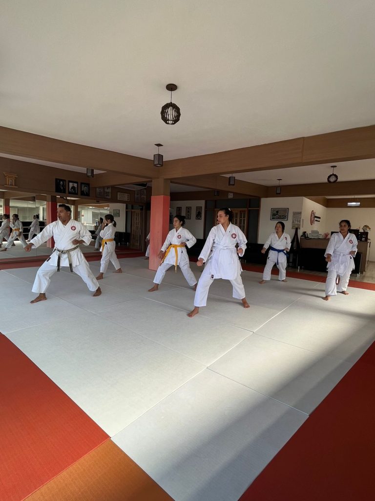 Aula de Karate Feminino - Sensei Francisco Santiago - Escola Renbukan Brasil - Nova fazendinha, Carapicuiba, São Paulo