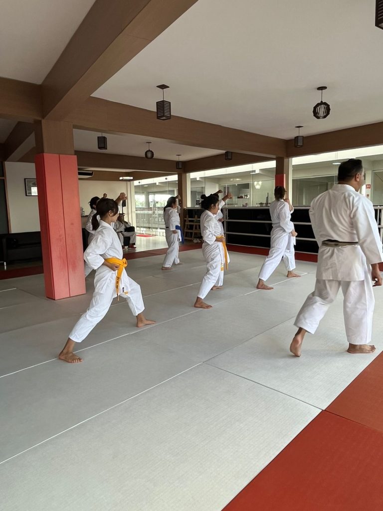 Aula de Karate Feminino - Sensei Francisco Santiago - Escola Renbukan Brasil - , Santa Maria , Osasco