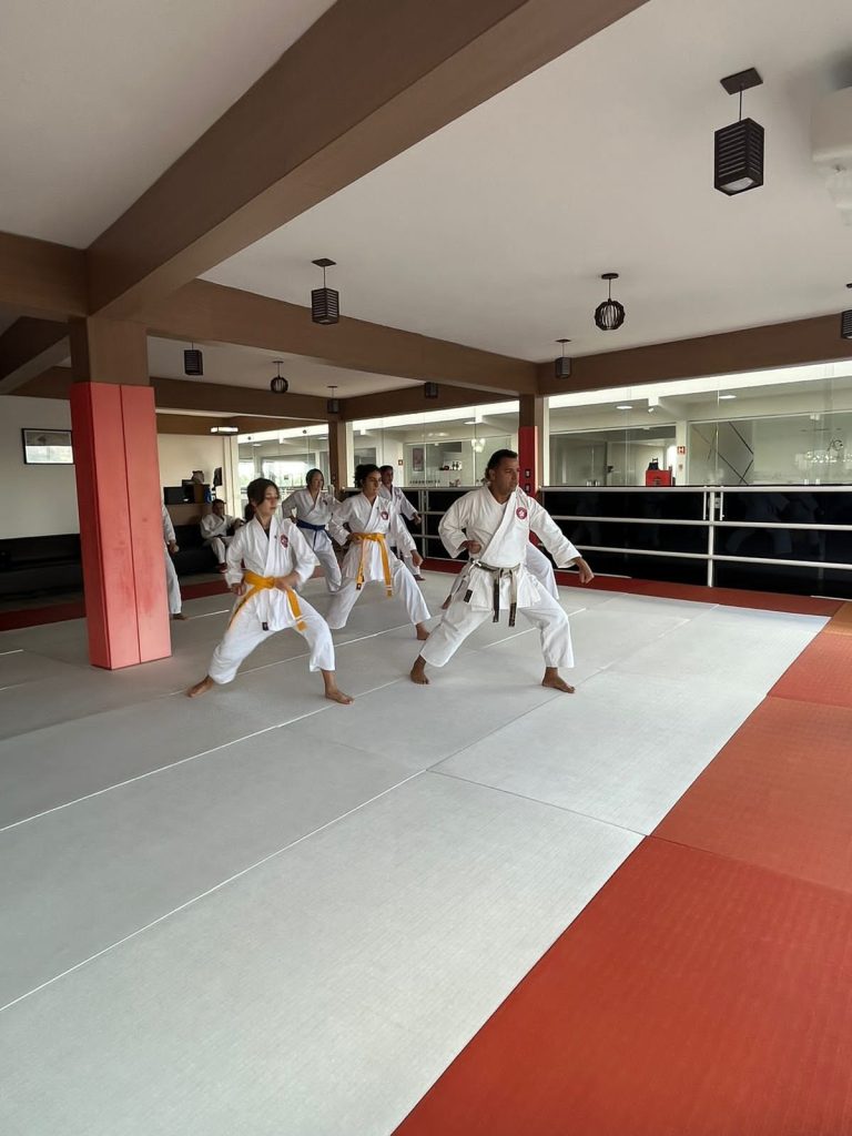 Aula de Karate Feminino - Sensei Francisco Santiago - Escola renbukan Brasil - Carapicuiba, Cotia, Vargem Grande Paulista , São Paulo - Chácara do refúgio - Carapicuiba - São Paulo