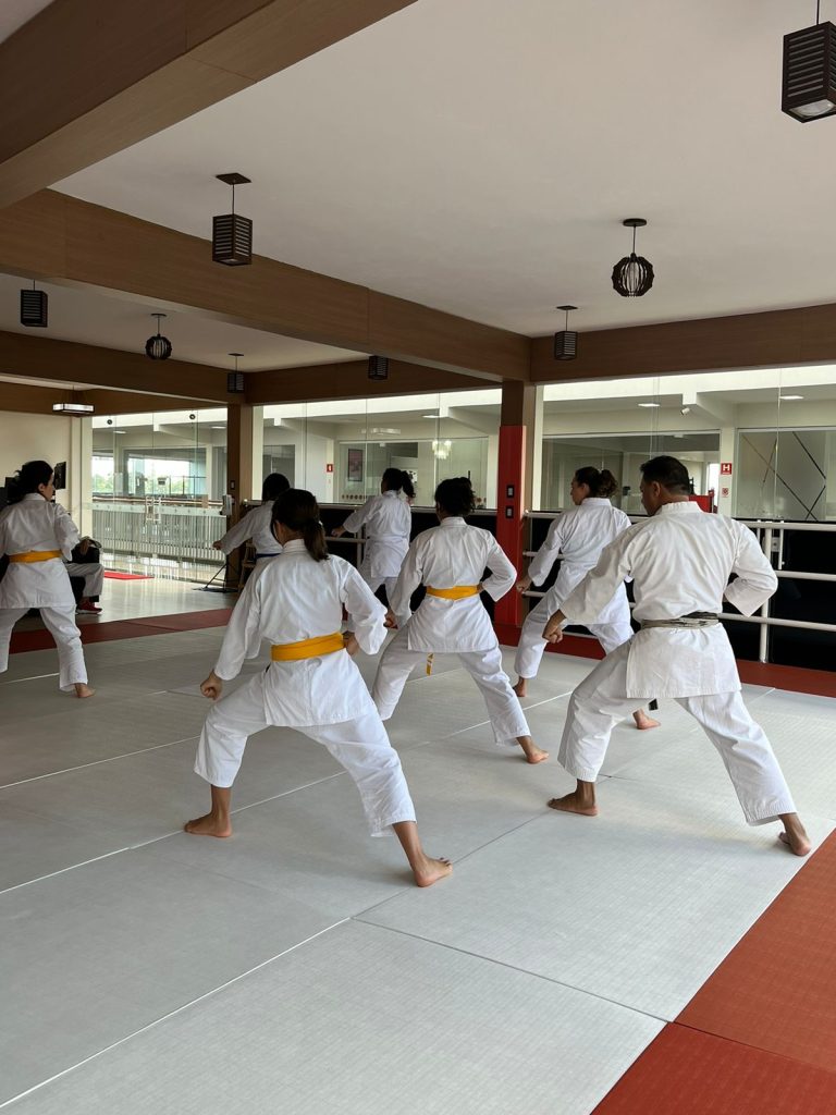 Aula de Karate Feminino - Sensei Francisco Santiago - Escola renbukan Brasil - Carapicuiba, Cotia, Vargem Grande Paulista , São Paulo - Jardim Helena Carapicuiba - São Paulo