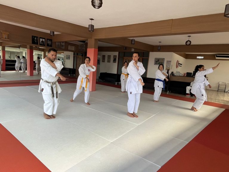Aula de Karate Feminino - Sensei Francisco Santiago - Escola renbukan Brasil - Carapicuiba, Cotia, Vargem Grande Paulista , São Paulo - Jardim Leonor - Carapicuiba