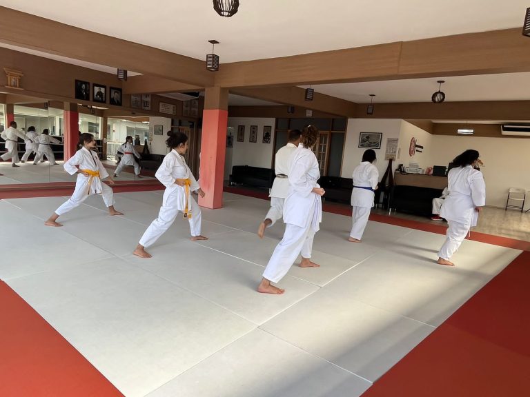 Aula de Karate Feminino - Sensei Francisco Santiago - Escola renbukan Brasil - Carapicuiba, Cotia, Vargem Grande Paulista , São Paulo - Pàrquie da Aldeia de Carapicuiba - São Paulo