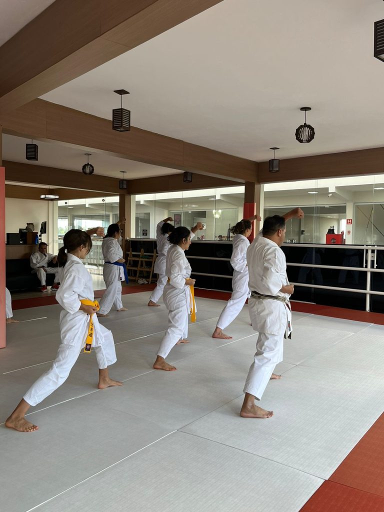 Aula de Karate Feminino - Sensei Francisco Santiago - Escola renbukan Brasil - Carapicuiba, Cotia, Vargem Grande Paulista , São Paulo - Vila Appia Antica - Carapicuiba
