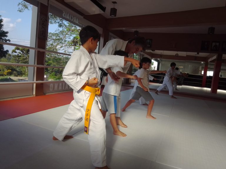 Aula de Karate - turmas Infantis - Sensei Roberto Nascimento - Escola Renbukan Brasil - Bairro Maranhão , Cotia , São Paulo