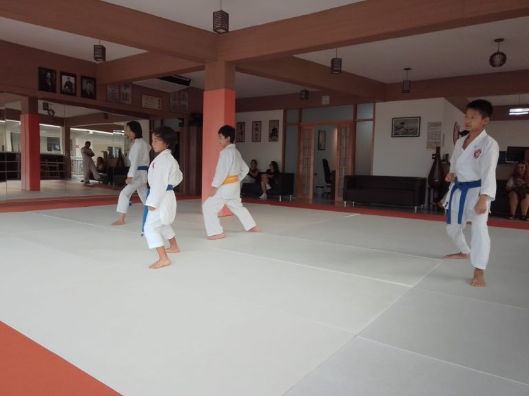 Aula de Karate - turmas Infantis - Sensei Roberto Nascimento - Escola Renbukan Brasil - , Jardim Nova Coimbra, Cotia , São Paulo