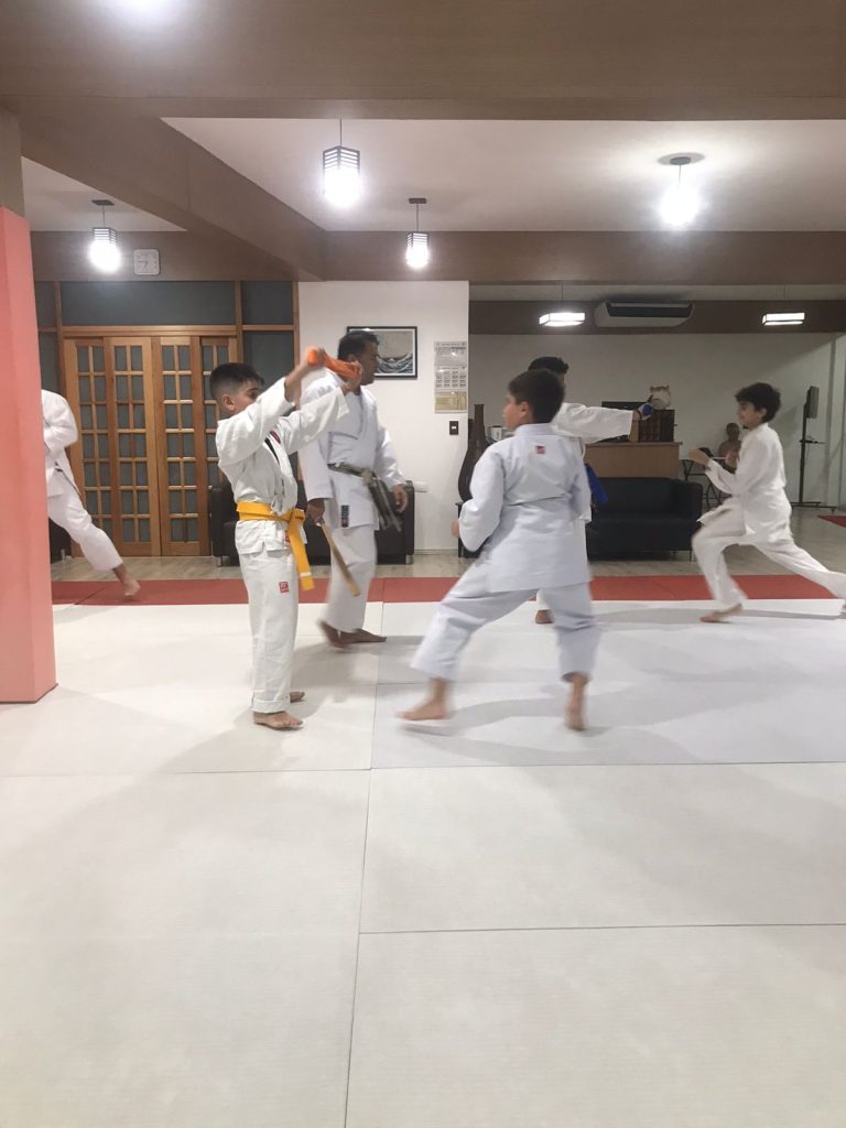 Aulas de 23 de Março de 2023 - Karate Shotokan - Sensei Francisco Santiago - Renbukan Brasil - Escola de Artes Marciais Japonesas - Cotia - São Paulo (14)