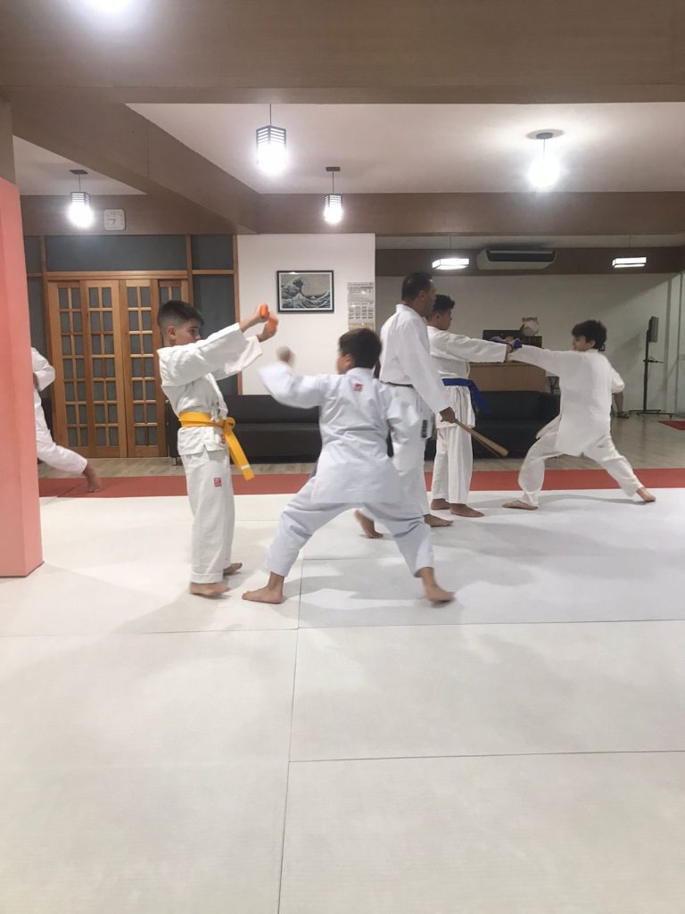 Aulas de 23 de Março de 2023 - Karate Shotokan - Sensei Francisco Santiago - Renbukan Brasil - Escola de Artes Marciais Japonesas - Cotia - São Paulo (15)