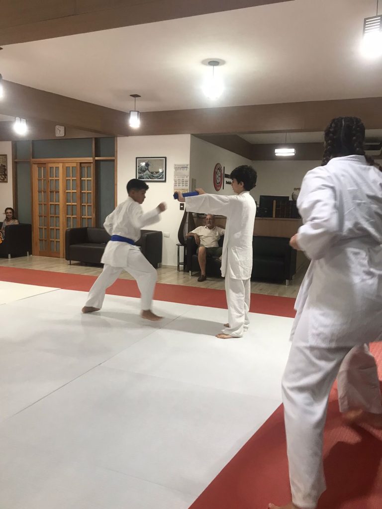 Aulas de 23 de Março de 2023 - Karate Shotokan - Sensei Francisco Santiago - Renbukan Brasil - Escola de Artes Marciais Japonesas - Cotia - São Paulo (22)