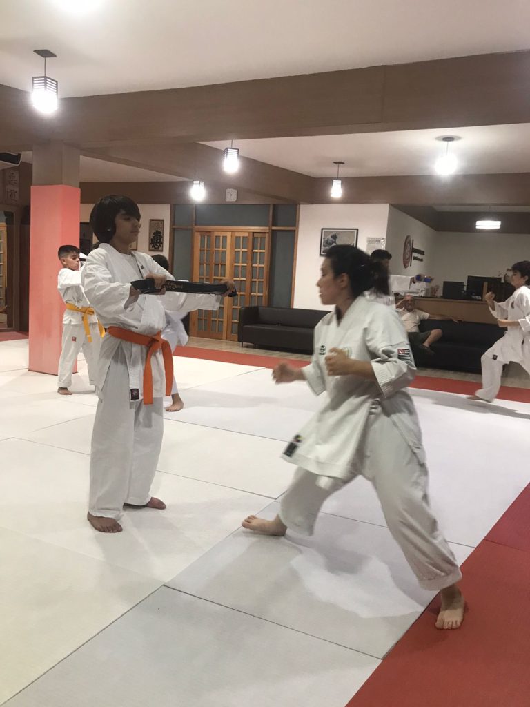 Aulas de 23 de Março de 2023 - Karate Shotokan - Sensei Francisco Santiago - Renbukan Brasil - Escola de Artes Marciais Japonesas - Cotia - São Paulo - Sensei Barbara Belafronte (2)