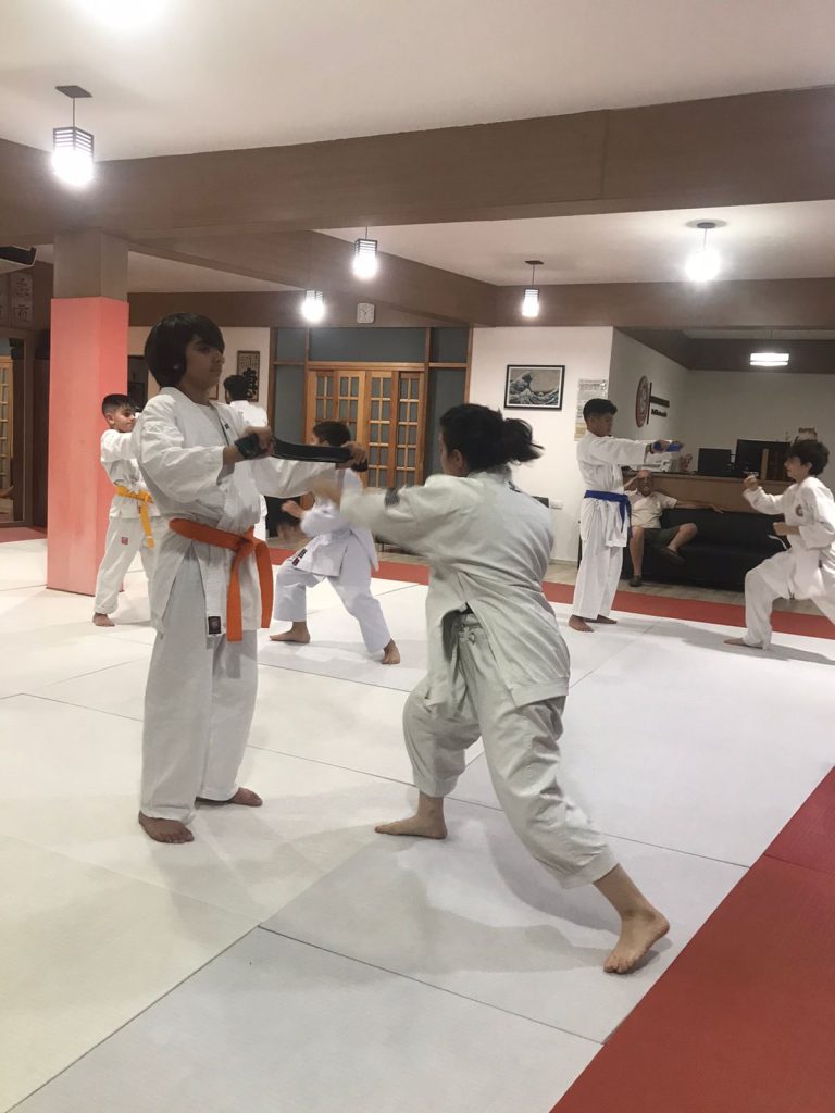 Aulas de 23 de Março de 2023 - Karate Shotokan - Sensei Francisco Santiago - Renbukan Brasil - Escola de Artes Marciais Japonesas - Cotia - São Paulo - Sensei Barbara Belafronte (3)