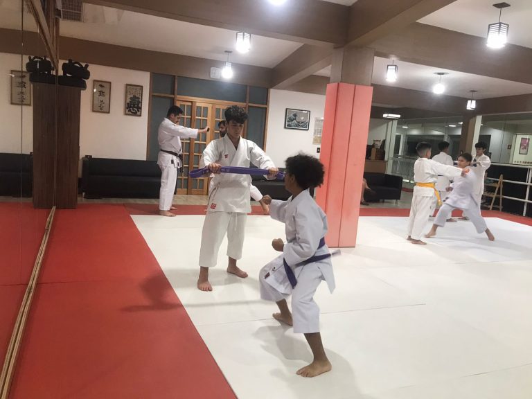 Aulas de 23 de Março de 2023 - Karate Shotokan - Sensei Francisco Santiago - Renbukan Brasil - Escola de Artes Marciais Japonesas - Cotia - São Paulo - Yago seto - Arthur Duarte