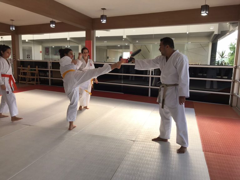 Sensei Francisco Santiago - Escola Renbukan Brasil - Karate Feminino - Aula de 24 de Março de 2023 - Cotia - São Paulo - Karate Femino Carapicuiba - Vargem Grande Paulista (1)
