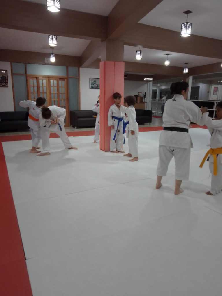 Aula de karate - Renbukan Brasil - Escola de artes marciais japonesas - Cotia - Vargem Grande Paulista - Carapicuiba - Sensei Francisco Santiago - sensei barbara Belafronte