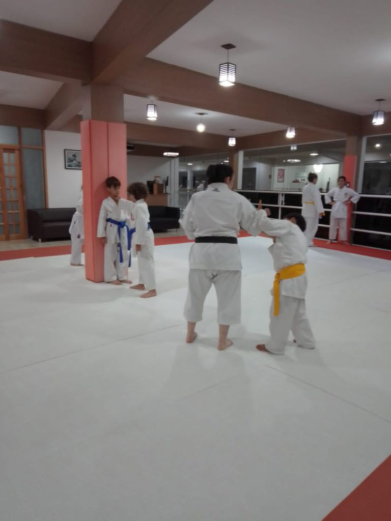 Aula de karate - Renbukan Brasil - Escola de artes marciais japonesas - Cotia - Vargem Grande Paulista - Carapicuiba - Sensei Francisco Santiago - Sensei Bárbara Belafronte