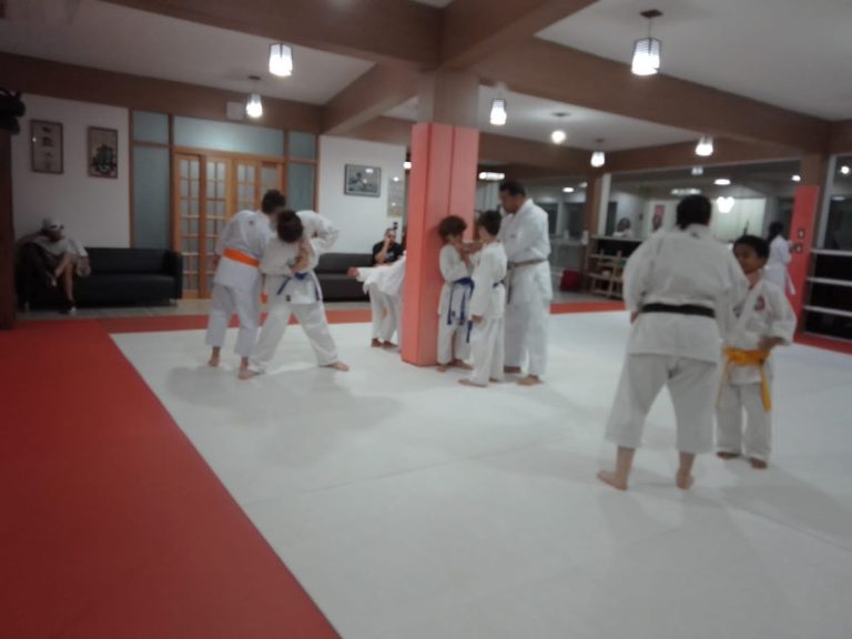 Aula de karate - Renbukan Brasil - Escola de artes marciais japonesas - Cotia - Vargem Grande Paulista - Carapicuiba - Sensei Francisco Santiago