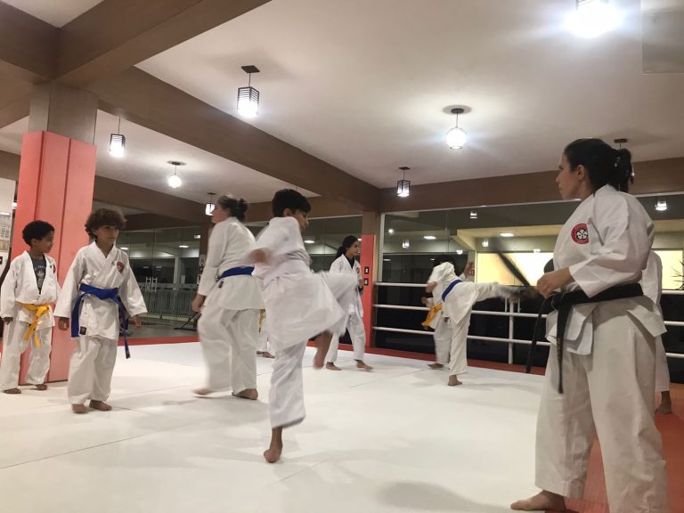 Aula de karate - Renbukan Brasil - Escola de artes marciais japonesas - Cotia - Vargem Grande Paulista - Carapicuiba - Sensei Francisco Santiago - Sensei Barbara Belafronte