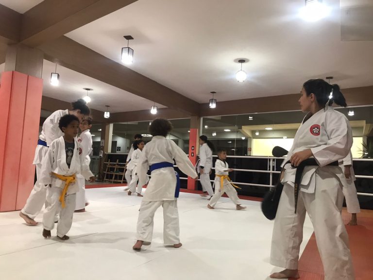 Aula de karate - Renbukan Brasil - Escola de artes marciais japonesas - Cotia - Vargem Grande Paulista - Carapicuiba - Sensei Francisco Santiago - Sensei Barbara Belafronte