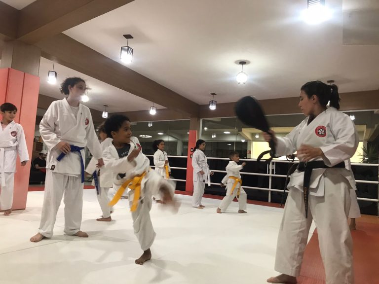 Aula de karate - Renbukan Brasil - Escola de artes marciais japonesas - Cotia - Vargem Grande Paulista - Carapicuiba - Sensei Francisco Santiago - Sensei barbara Belafronte