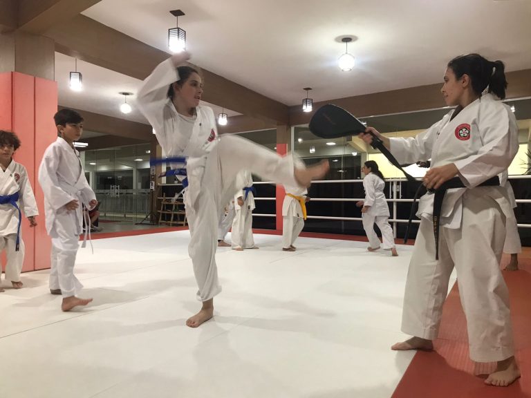 Aula de karate - Renbukan Brasil - Escola de artes marciais japonesas - Cotia - Vargem Grande Paulista - Carapicuiba - Sensei Francisco Santiago - Sensie Barbara Belafronte