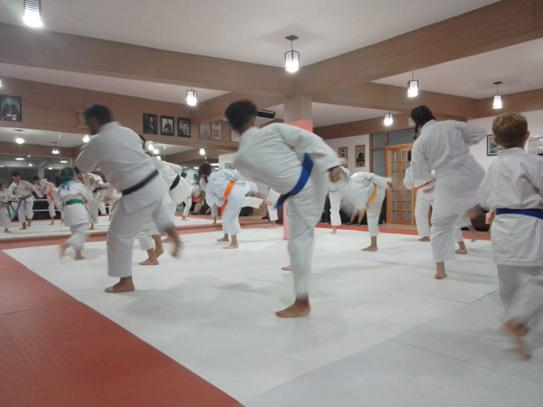 Aula de karate - Renbukan Brasil - Escola de artes marciais japonesas - Cotia - Vargem Grande Paulista - Carapicuiba - Sensei Francisco Santiago